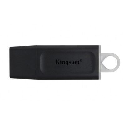 Накопитель KINGSTON DTX, 256Gb, USB 3.2