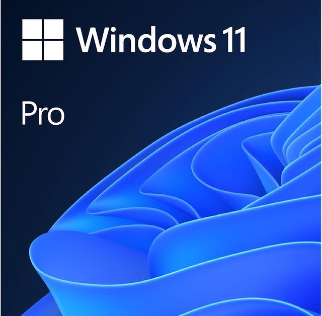 MS Win Pro 11 64-bit All Lng PK Lic Online DwnLd NR (FQC-10572)